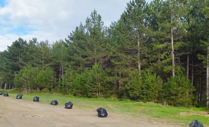 Kastamonu Belediyesi ormanlık alanlarda temizlik yaptı