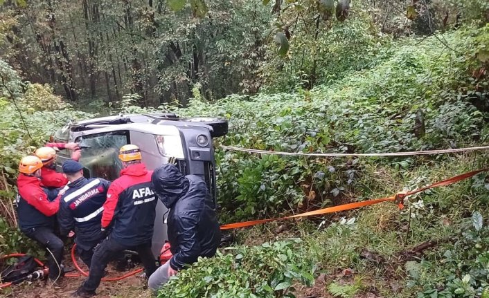 Rize'de uçuruma yuvarlanan kamyonetin sürücüsü yaralandı