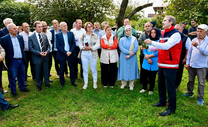 Samsun'da kahverengi kokarca ile mücadele için çiftçilere feromon tuzağı desteği