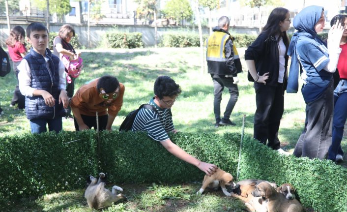 Samsun'da çocuklar Pati Şenliği'nde sokak hayvanlarıyla buluştu