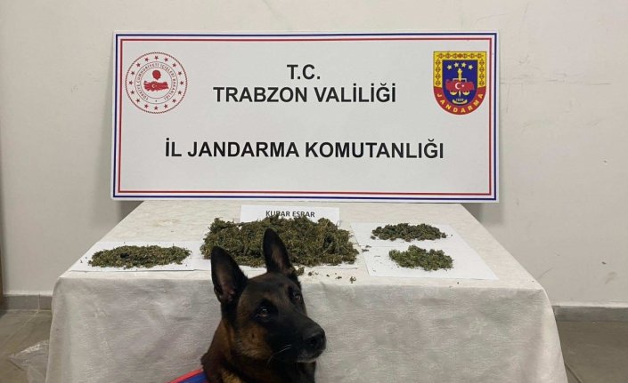 Trabzon'da uyuşturucu operasyonunda 2 şüpheli yakalandı