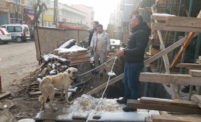 Amasya'da inşaata düşen köpek kurtarıldı