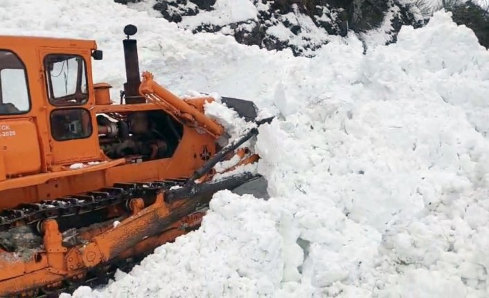 Artvin'de 6 köye ulaşımın sağlandığı kara yolu çığ nedeniyle kapandı