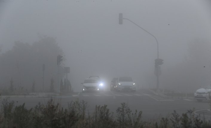 Bolu ve Düzce'de sis etkili oldu