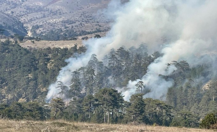 Bolu'da çıkan örtü yangını söndürüldü