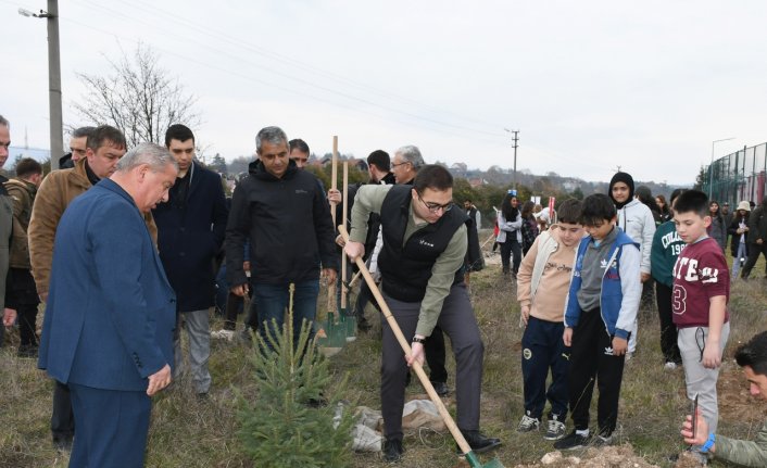 Bolu'da fidanlar toprakla buluştu