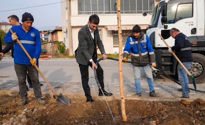 Erbaa Belediyesince 350 adet huş ağacı fidanı dikildi