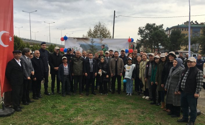 Espiye, Yağlıdere ve Bulancak'ta fidanlar toprakla buluştu