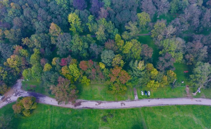 Gölyaka Kültür Park, ziyaretçilerini “sonbaharın tonları“ eşliğinde ağırlıyor