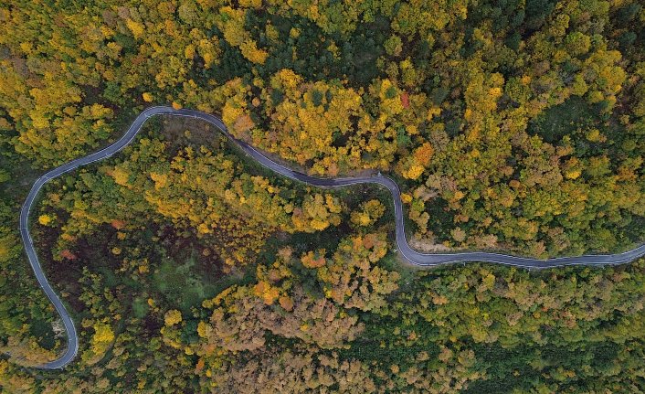 Karadeniz'de sonbahar tüm renkleriyle yaşanıyor