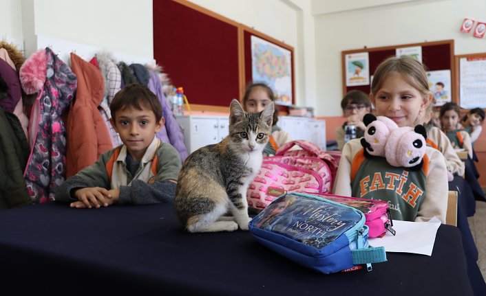 Kedi “Karamel“ sınıfın 36'ncı öğrencisi oldu