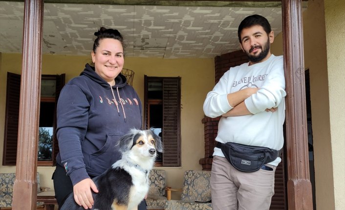 Köpeklere eğitimi yaşam alanlarında vererek daha başarılı sonuçlara ulaşıyor