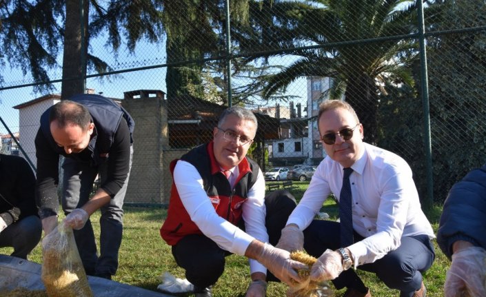 Ordu'da yükümlülere yönelik mantar yetiştiriciliği kursu tamamlandı