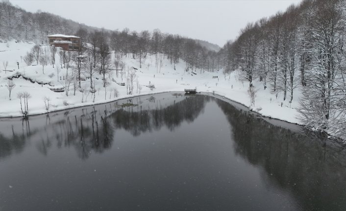 Ordu'nun doğal güzelliğiyle ünlü Ulugöl Tabiat Parkı beyaza büründü