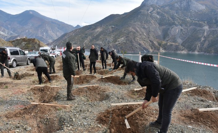 Orta ve Doğu Karadeniz'de fidanlar toprakla buluşturuldu