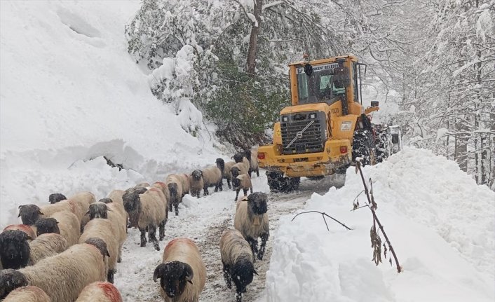 Orta ve Doğu Karadeniz'de karla mücadele çalışmaları sürüyor