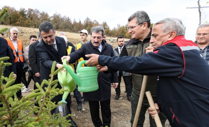 Samsun ve çevre illerde Milli Ağaçlandırma Günü'nde fidanlar toprakla buluştu