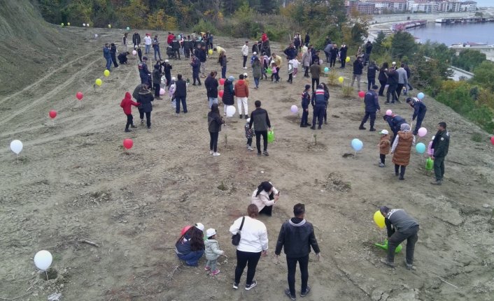 Sinop'ta 11 Kasım Milli Ağaçlandırma Günü dolayısıyla fidanlar toprakla buluşturuldu