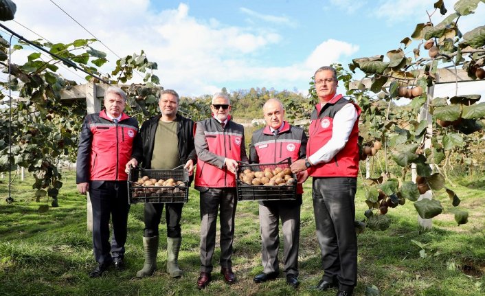 Tescilli Ordu kivisinin hasadına başlandı