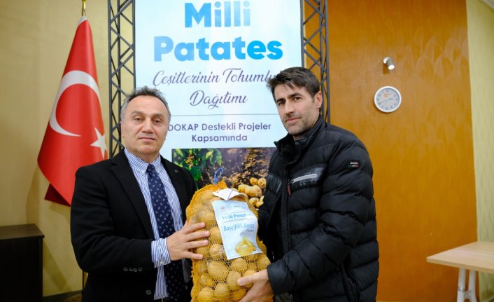 TOGÜ'de geliştirilen milli patates çeşitlerinin tohumlukları dağıtıldı