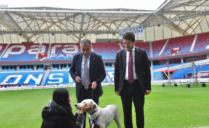 Trabzonspor Kulübü, Fenerbahçe maçı öncesinde sahaya giren köpeği sahiplendi