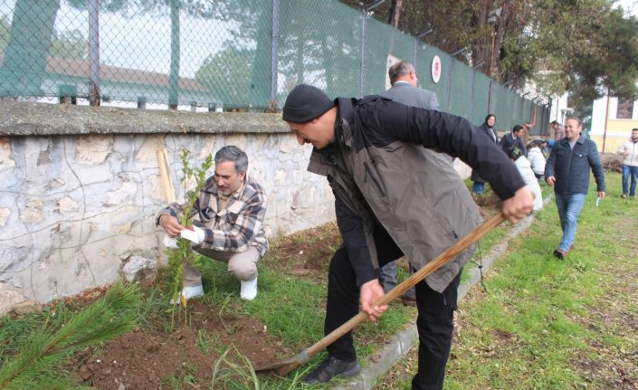 Vezirköprü'de şehit ve vefat eden öğretmenler anısına fidan dikildi