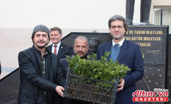 19 Mayıs ilçesinde vatandaşlara 5 bin defne fidanı dağıtıldı