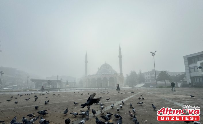 Bolu ve Düzce'de sis etkili oldu