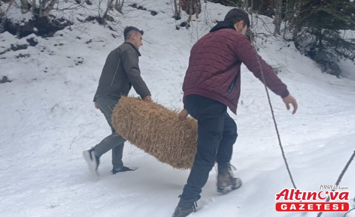 Bolu'da yaban hayvanları için doğaya yem bırakıldı