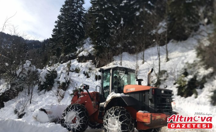 Doğu Karadeniz'de karla mücadele çalışmaları devam ediyor