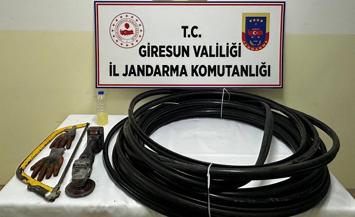 Giresun'da kablo hırsızlığı iddiasıyla 1 kişi tutuklandı