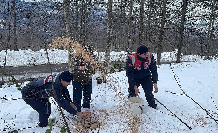 Giresun'da yaban hayvanları için doğaya yem bırakıldı