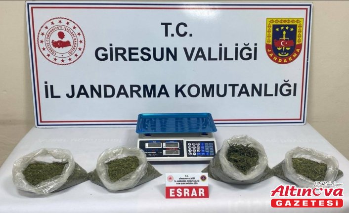 Giresun'da uyuşturucu operasyonunda 2 zanlı tutuklandı