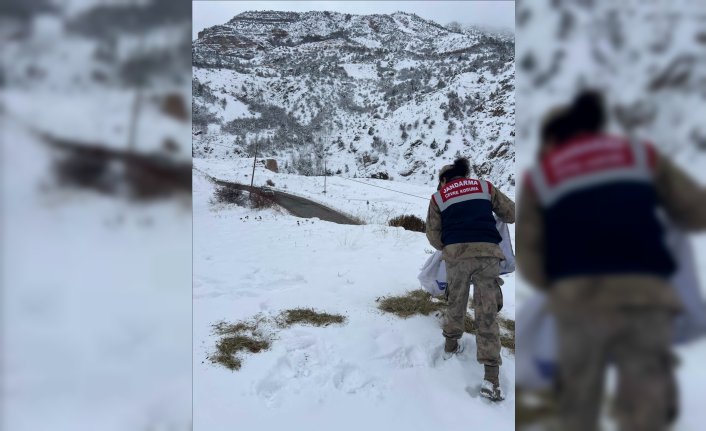 Gümüşhane'de jandarma ekipleri doğaya yem bıraktı