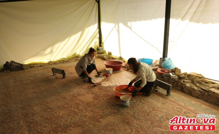 Kastamonu'daki Pompeiopolis Antik Kenti'nde mozaikler yerine yerleştirildi