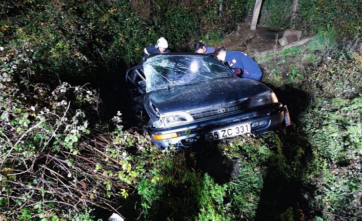 Ordu ve Gümüşhane'de kar etkili oldu