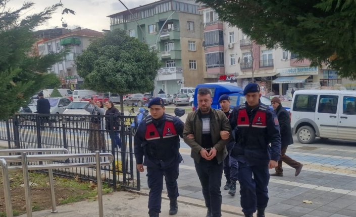 Tokat'ta kesilmiş odunları çalan zanlı tutuklandı