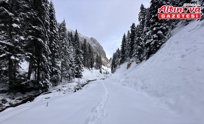 Anadolu'nun yüce dağı Ilgaz doğa tutkunlarını cezbediyor