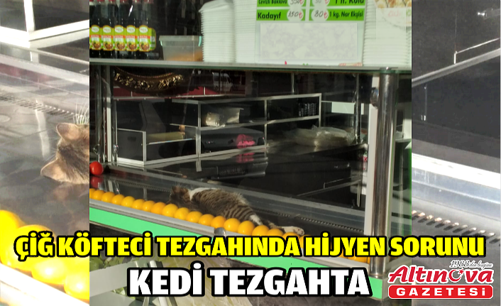 Çiğ Köfteci Tezgahında Hijyen Sorunu: Kedi Tezgahta