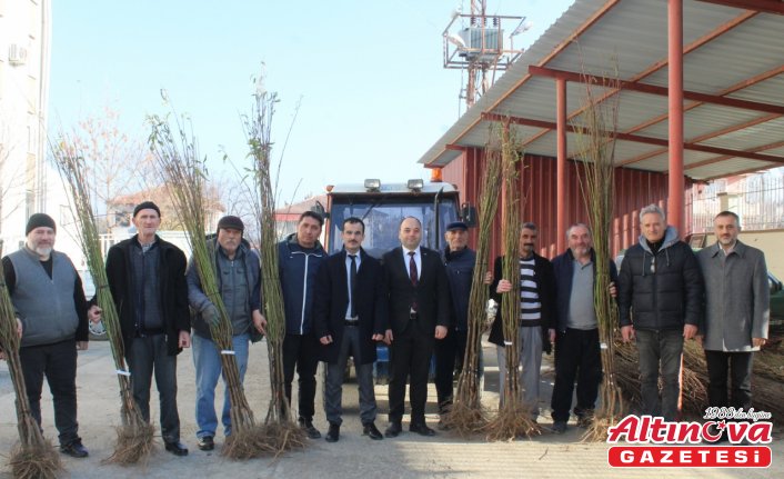 Pazar ilçesinde 1000 badem fidanı dağıtıldı