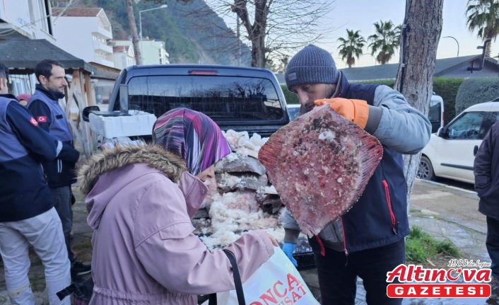 Sinop'ta kaçak avlanan 380 kalkan balığı ele geçirildi