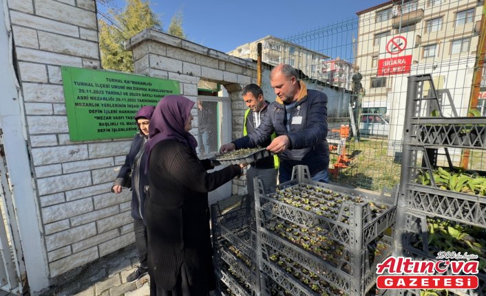 Turhal'da mezarlık ziyaretine giden vatandaşlara çiçek dağıtıldı