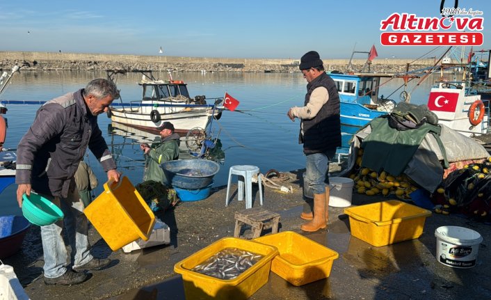 Zonguldak'ta bol miktarda avlanan balık tüketiciyi de balıkçıyı da sevindirdi