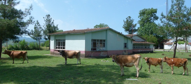 ESKİ OKUL BİNALARI ATIL DURUMDAN KURTARILSIN