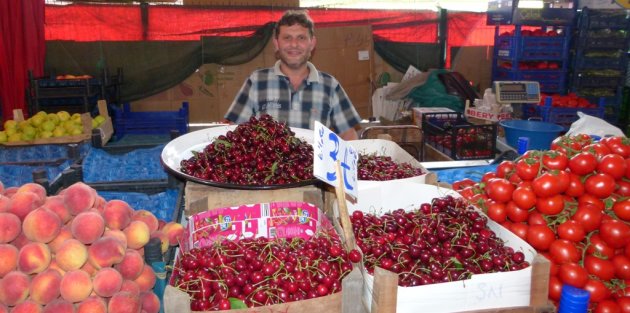 BAFRA’DA KİRAZ BOLLUĞU HEM SATICIYA, HEM DE VATANDAŞA YARADI