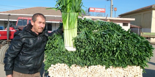 Bafra’da Pırasa Üreticisi Dertli