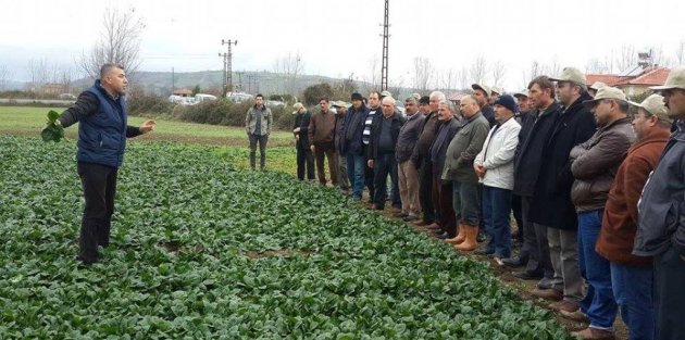 BAFRA’DA TARLA GÜNÜ DÜZENLENDİ