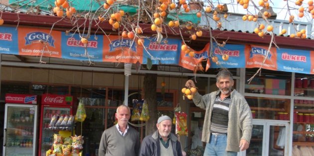 Bafra’da Trabzon Hurması İlgi Görüyor