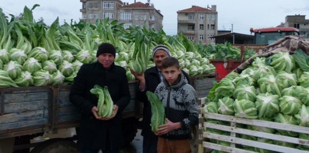 En Çok Karnabahar Tercih Ediliyor