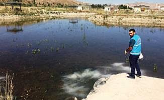 Bayburt'ta larvayla mücadelesi